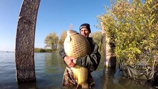 Big carp hunting tours