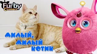 Furby Connect (Ферби Коннект )и милый милый котик поет по русски