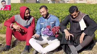 شعبان بيحب ؟؟؟؟   اضحك من قلبك 2020