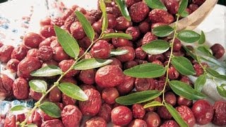 Hünnap ve Hünnapın Faydaları