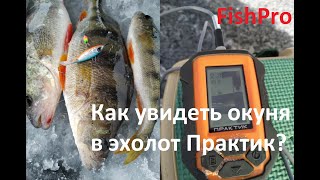 Как увидеть окуня в эхолот Практик. Ловля окуня на блесну с Практик 7BW.