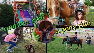A Pony Ride And A Curious Goat At A Festival