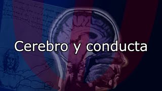 Cerebro y conducta - Procesos psicofisiológicos básicos