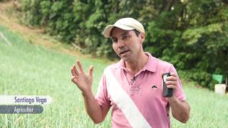 TEC y MAG aplican tecnología en el cultivo de cebolla