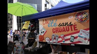 Un Eté Sans Cruauté