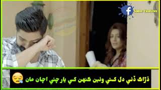 Mumtaz Molai 30 Album Sindhi Whatsapp Status Video Drka De Dil Athe Per Ya Ko Murshid