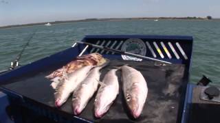 That's Fishing: Season 5 Episode 2 'Mixed Bag'