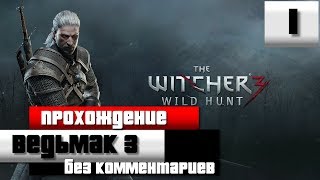 Прохождение Ведьмак 3: Дикая охота - Часть 1 (без комментариев) [Ultra Graphics|PC]