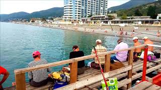 ?ЛАЗАРЕВСКОЕ 27.09.19 МОРЕ ПЛЯЖ СОЧИ КУРОРТ 2019