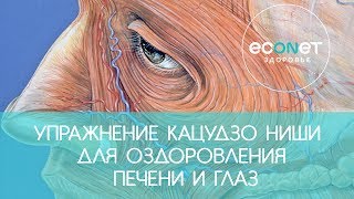 Упражнение Кацудзо Ниши для оздоровления печени и глаз | ECONET.RU