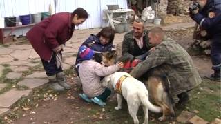Теребовлянський район: пошуки дитини, яка заблукала в лісі