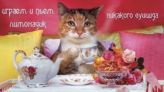 ИГРАЕМ И ОБЩАЕМСЯ (Рожденная Луной) НЕМНОЖКО РАЗВЕДЕНЫ