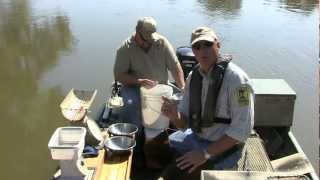 Ask an Expert - Minnesota River Fish - Brad Koenen