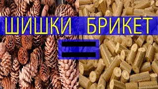 Брикет из шишек. Из чего можно делать топливные брикеты.