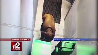 Разорвало на куски | Хотел взорвать банкомат, но подорвался сам. Видео!
