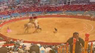 Bullfighting in Mexico City