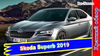 Авто обзор - Новая Skoda Superb 2019 года: практичный автомобиль для любителей комфорта