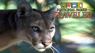 National Parks Traveler: Backpacking Classics And Florida Panthers