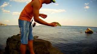 Вечерний джиг или рокфишинг в Ялте. Рулена (зеленуха) на ультралайт. Rockfishing in Yalta.