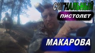 Обзор пистолета Макарова МР 371.Пистолет Макарова краткий обзор.
