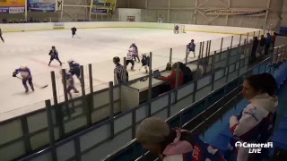 Детская хоккейная лига