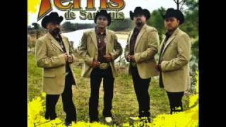 Los Terris De San Luis - Un Puno De Lodo
