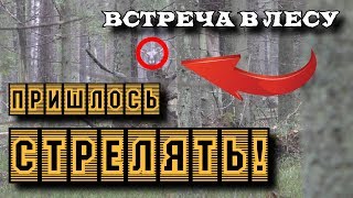 Когда он пошёл на меня, пришлось стрелять!