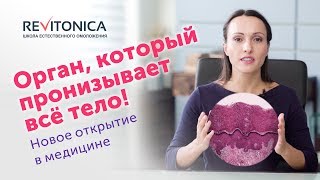 Интерстиций — орган, о котором мы не знали. Плохие новости для инъекционной косметологии.