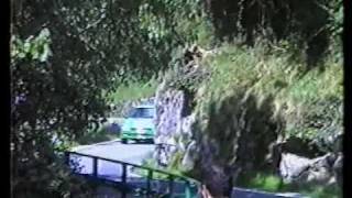 Rally Vallecamonica...1996