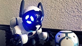 Chip WowWee / собака робот чип / мой подарок на день рождения