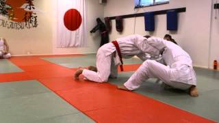 Ju-Jutsu NeWaza