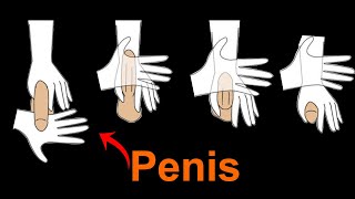 5 Ways to Increase Penis Size Revealed | Natural Life