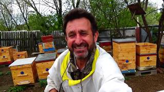 СТАРТЕР он же - ВОСПИТАЛКА