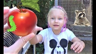 Алиса кормит ЕНОТА !!! Мини зоопарк для детей ! Alice feeds the RACCOON !!! Mini zoo for kids !