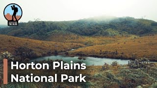 Visit Horton Plains National Park and World's End in Sri Lanka