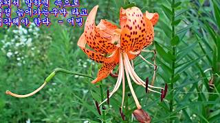최옥석 사진전 (3)