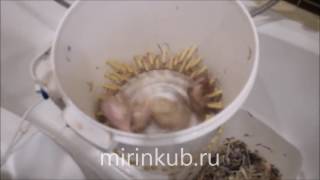 Перосъемная машина ПМ-2М для перепелов