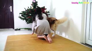 With A Cute Girl Taking Care Of Her Dog In A Lovely House