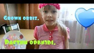 Растим орбизы. Orbeez. Grown orbiz
