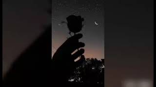خلفيات | افتارات | خلفيات سوداء | خلفيات باللون الاسود | خلفيات جوال | خلفيات ايباد | خلفيات سامسونج