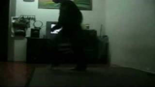 Amer Hard Dance City (HDC)