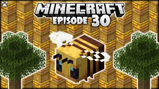 Minecraft Bee Nests Are RENEWABLE In 1.15.2! | Python Plays Minecraft Survival [Episode 30]