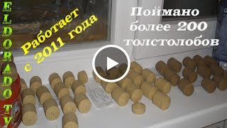 Технопланктон своими руками без пресса. ELDORADO T V