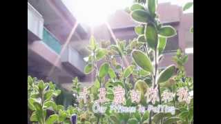 十五歲的你和我 培英 第44屆畢業歌