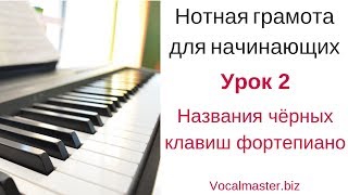 Нотная грамота для начинающих. Урок 2.