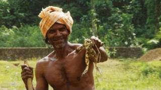 Nature's bounty and inheriting wisdom