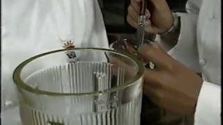 バーニャ カウダ/Bagna cauda (2/3)
