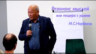 Резонанс мыслей или пещера с ушами. М.С. Норбеков