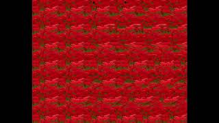 視力アップ動画　3【ステレオグラム】Stereograms