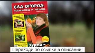 видео огород:  Сад, огород
